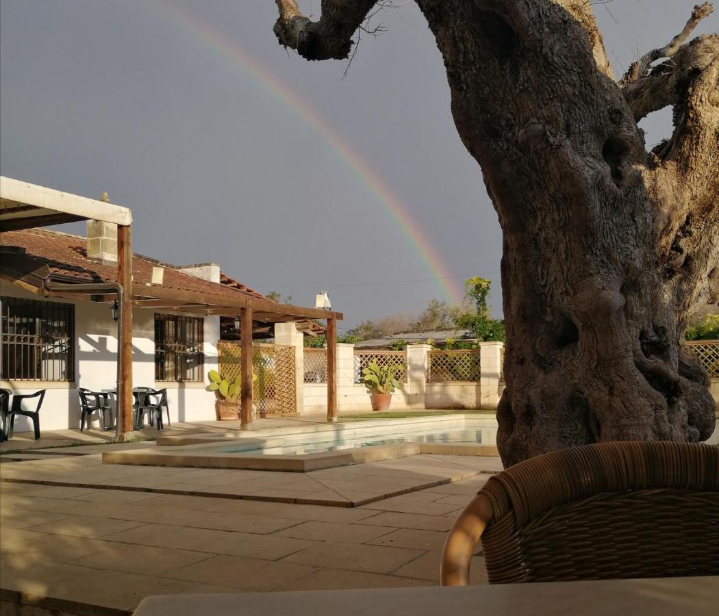 Casasalento Hotel Cavallino di Lecce Exterior foto